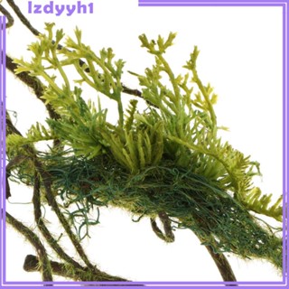 [JoyDIY] พวงมาลัยเถาวัลย์ดอกไม้ปลอม สําหรับตกแต่งบ้าน