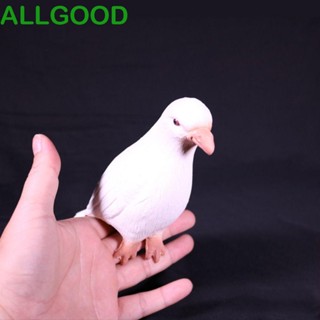 Allgoods นกพิราบยาง เทคนิคมายากล ภาพลวงตา Mentalism ซูเปอร์ลาเท็กซ์ นกพิราบใกล้ขึ้น นกพิราบปลอม ยาง ของเล่นสําหรับเด็ก