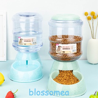 Blossomea เครื่องจ่ายน้ําดื่มอัตโนมัติ ขนาดใหญ่ 3.8 ลิตร สําหรับสัตว์เลี้ยง สุนัข