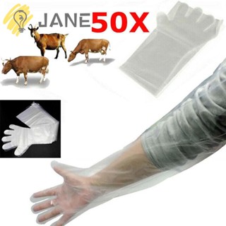 Jane ถุงมือพลาสติก แบบใช้แล้วทิ้ง ทนทาน สําหรับสอบสัตวแพทย์ 50 ชิ้น