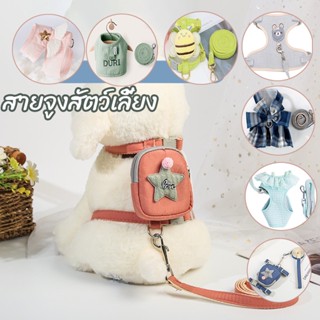 🐱พร้อมส่ง🐶สายจูงสัตว์เลี้ยง เสื้อจูงแมว สายจูงแมวเล็ก สายจูงกระต่าย ปรับได้ สายจูงแมว สายจูงสุนัข เข็มขัดลาก