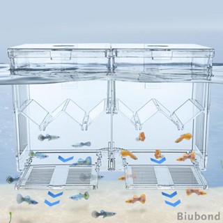 [Biubond] กล่องเพาะพันธุ์ปลา อุปกรณ์เสริม สําหรับตู้ปลา