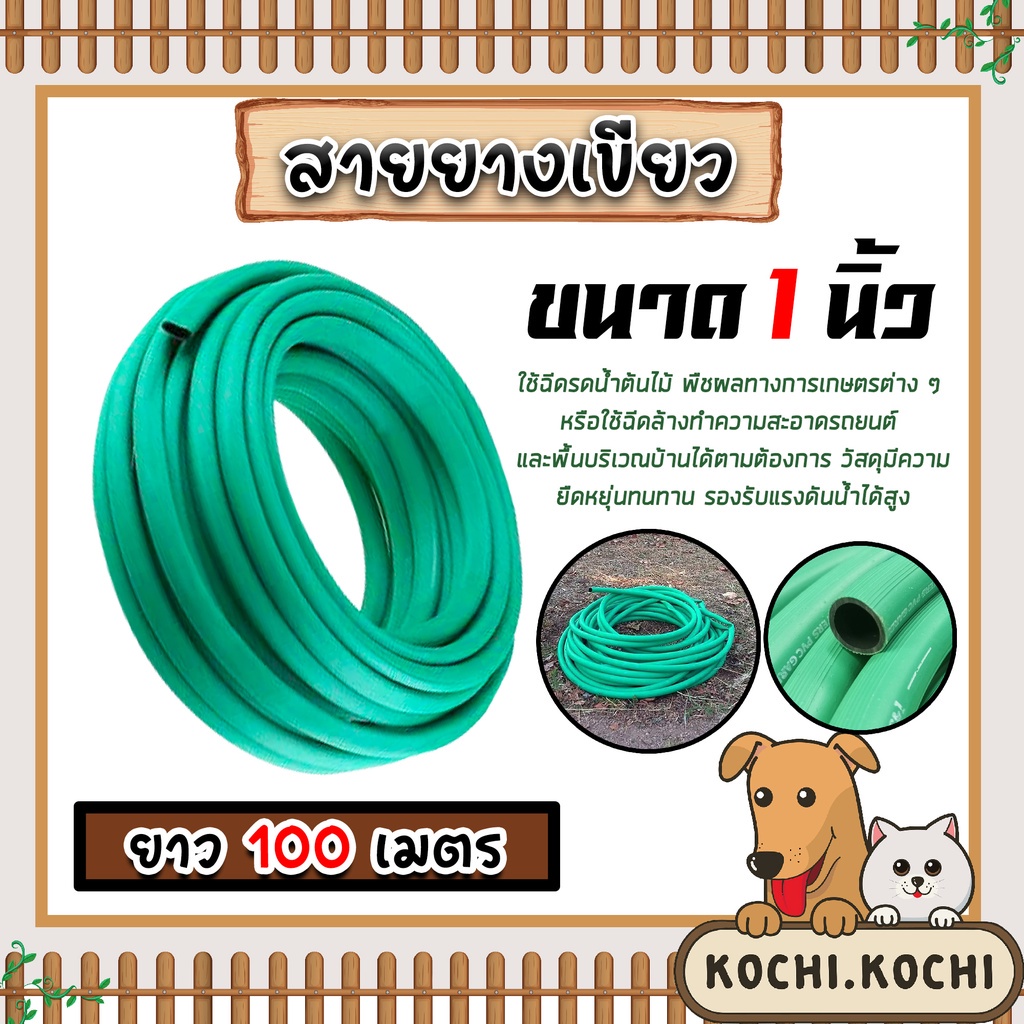 สายยางเขียว ขนาด 1 นิ้ว ยาว 100เมตร ใช้รดน้ำต้นไม้ ล้างรถ ราคาถูก เหนียว หนา