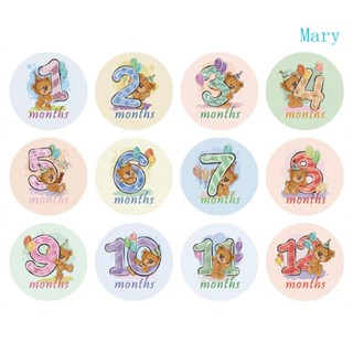 การ์ดรูปภาพ Mary Novelty 12 เดือน สําหรับครอบครัว ปาร์ตี้แรกเกิด