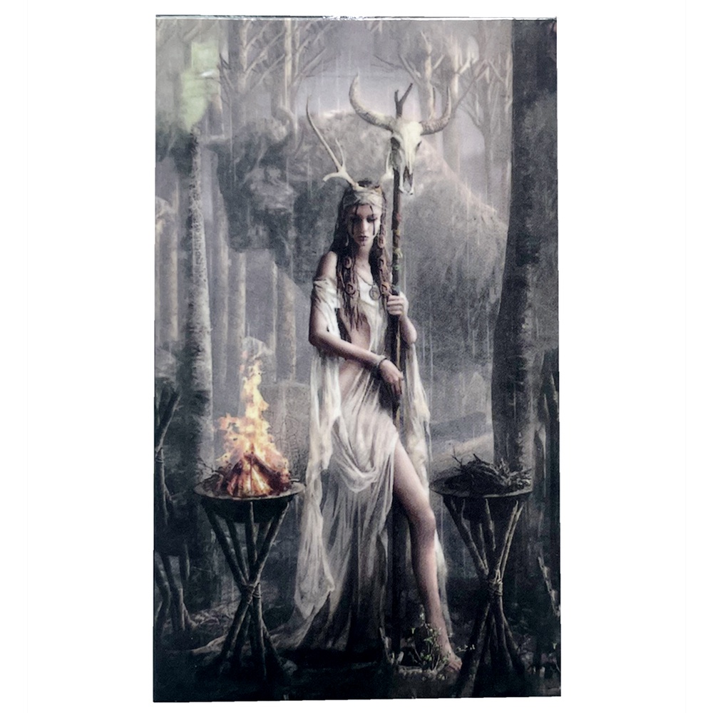 Runic Tarot cards board game wait tarot cards with pdf guidebook