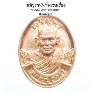 หลวงปู่บุดดา วัดป่าใต้พัฒนาราม เหรียญหล่อหลังเต่า 110ปี พิงค์โกล (AB3447)