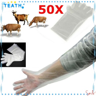 Teath ถุงมือพลาสติก แบบใช้แล้วทิ้ง ปลอดสารพิษ สําหรับสอบสัตวแพทย์ 50 ชิ้น