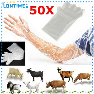 Lontime ถุงมือพลาสติก แบบใช้แล้วทิ้ง ปลอดสารพิษ สําหรับสอบสัตวแพทย์ 50 ชิ้น