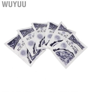 Wuyuu 6pcs Ice Cold Pack Disposable For The Relief Of Swelling Inflammation