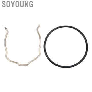 Soyoung Charge  C  Car High Accuracy Elasticity for Auto