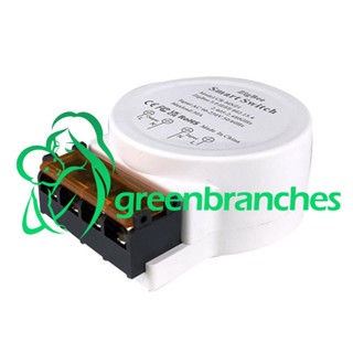 Greenbranches1 สวิตช์พาวเวอร์มอนิเตอร์ ZigBee 30A 30A AC90-250V รองรับแอพควบคุมด้วยเสียง