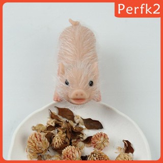 [Perfk2] ของเล่นหมูประสาทสัมผัส ขนาดเล็ก สําหรับเด็ก และผู้ใหญ่ ตกแต่งบ้าน