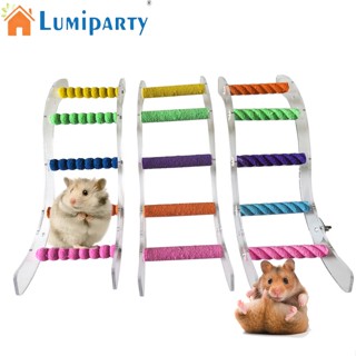 Lumiparty ของเล่นบันไดแขวน อะคริลิค หลากสี สําหรับกรงนกแก้ว หนูแฮมสเตอร์ ชินชิล่า