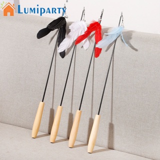 Lumiparty ไม้กายสิทธิ์ คาร์บอนไฟเบอร์ ด้ามจับไม้ พร้อมกระดิ่ง สําหรับสัตว์เลี้ยง แมว