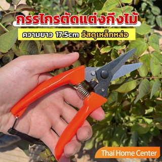 กรรไกรแต่งกิ่งไม้ เหล็กคาร์บอน สำหรับใช้ในสวน ด้ามกระชับมือ garden shears