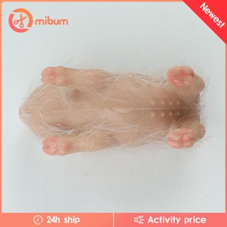 [Mibum] ของเล่นหมูประสาทสัมผัส ขนาดเล็ก สําหรับเด็ก และผู้ใหญ่ ตกแต่งบ้าน