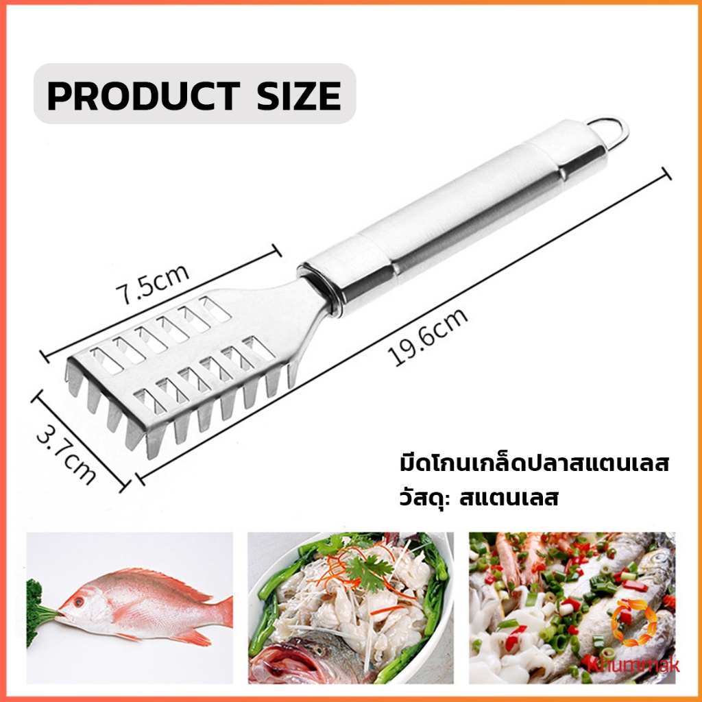 Khummak ที่ขูดเกล็ดปลา ที่ขอดเกล็ด สแตนเลส เครื่องใช้ในครัว Fish scale scraper ราคา ถูกที่สุด ดีลบีเคเค แกลเลอรีภาพที่ 8