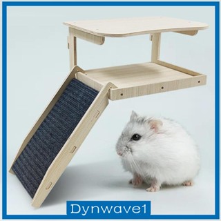 [Dynwave1] ที่ซ่อนหนูตะเภา พร้อมบันไดไม้ สําหรับหนูชินชิล่า