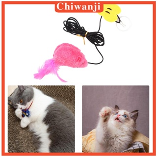 [Chiwanji] ของเล่นขนนก สําหรับออกกําลังกายแมวในร่ม