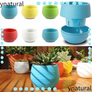 Ynatural กระถางต้นไม้พลาสติก สําหรับตกแต่งบ้าน ออฟฟิศ 6 ชิ้น