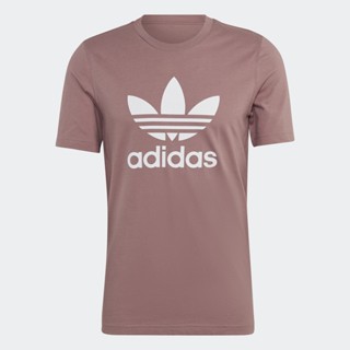 adidas ไลฟ์สไตล์ เสื้อยืด Adicolor Classics Trefoil ผู้ชาย สีม่วง HN5446