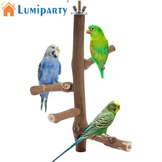 Lumiparty กรงนกแก้วไม้ธรรมชาติ อุปกรณ์เสริม สําหรับนกแก้ว