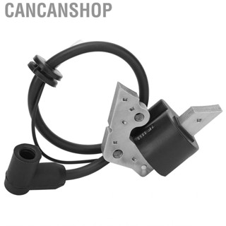 Cancanshop Ignition Coil Black Silicon Steel Spark Plugs for Robin-Ey15