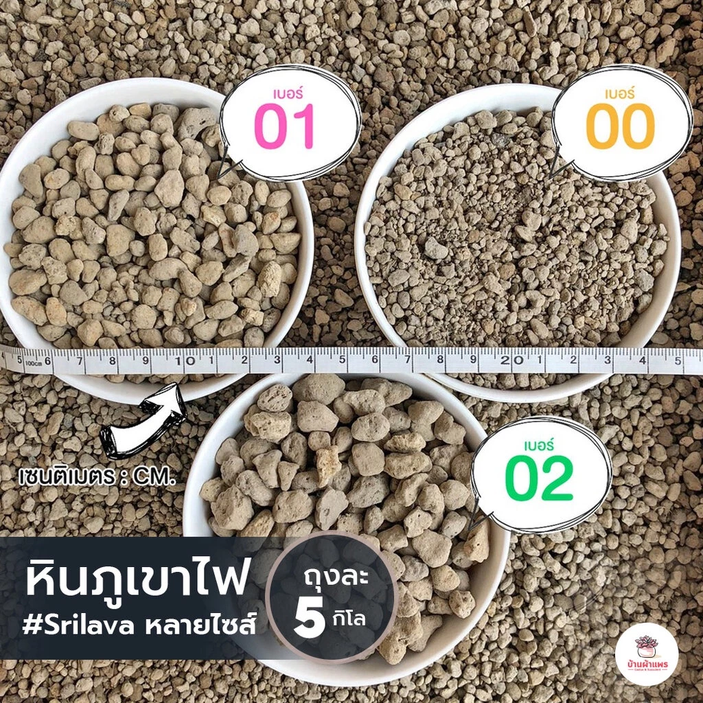 [ 5 กก. ] หินภูเขาไฟ Srilava มีหลายเบอร์ให้เลือก หินภูเขาไฟ แคคตัส ไม้อวบน้ำ กุหลาบหิน cactus&succulent