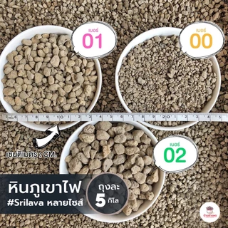 [ 5 กก. ] หินภูเขาไฟ Srilava มีหลายเบอร์ให้เลือก หินภูเขาไฟ แคคตัส ไม้อวบน้ำ กุหลาบหิน cactus&succulent