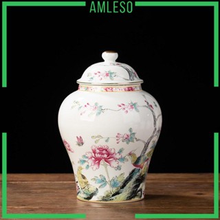 [Amleso] โหลเซรามิค ทนทาน สําหรับใส่ชาขิง