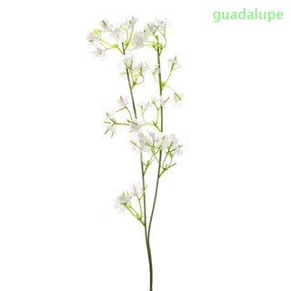 Guadalupe ดอกไม้พลาสติก สีขาว ยิปโซ เด็กทารก หายใจ โรงแรม ปาร์ตี้