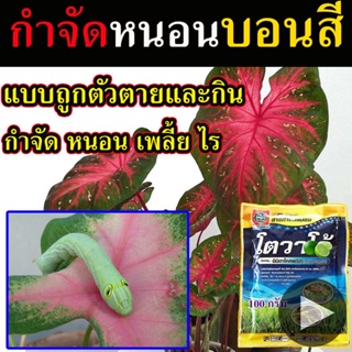 📢 ยาบอนสี  สารกำจัดหนอนบอนสี (สูตรเย็น 100กรัม)กำจัดเพลี้ย ฆ่าหนอนกินใบ ฆ่าหนอนแมลงกำจัดหนอนแมลง กำจัดเพลี้ยแป้ง