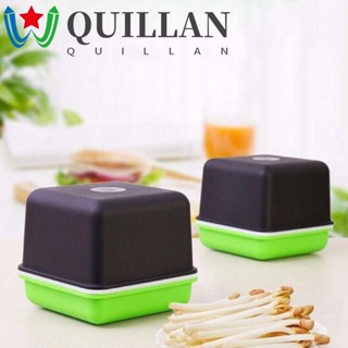 Quillan ถาดเพาะกล้า พลาสติก ทําความสะอาดง่าย ถั่วงอก ถั่วลิสง ไร้ดิน การเพาะปลูกไฮโดรโปนิกส์ กล่องปลูกต้นกล้า