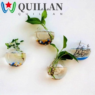 Quillan แจกันดอกไม้ไฮโดรโปนิก แบบใส ติดผนัง หนา ทนทาน 8 10 12 13 15 ซม. สําหรับปลูกต้นไม้