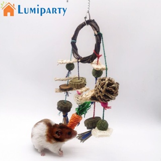 Lumiparty ของเล่นเคี้ยวไม้ ทนต่อการกัด อุปกรณ์เสริม สําหรับสัตว์เลี้ยง