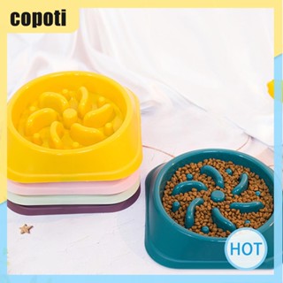 Copoti ชามใส่อาหาร กันลื่น สําหรับสัตว์เลี้ยง สุนัข