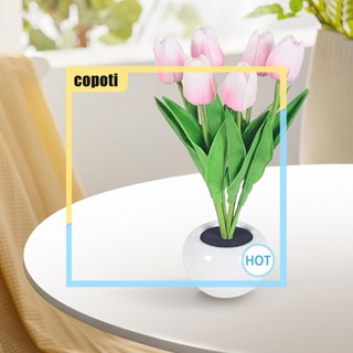 Copoti โคมไฟ LED รูปดอกทิวลิป 300mAh ชาร์จซ้ําได้ สําหรับตกแต่งบ้าน