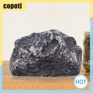 Copoti กล่องเก็บกุญแจหินซ่อน เพื่อความปลอดภัย สําหรับบ้าน และสวน