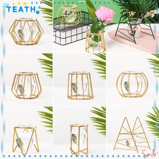 Teath แจกันเหล็กไฮโดรโปนิก ทรงเรขาคณิต สําหรับตกแต่งบ้าน