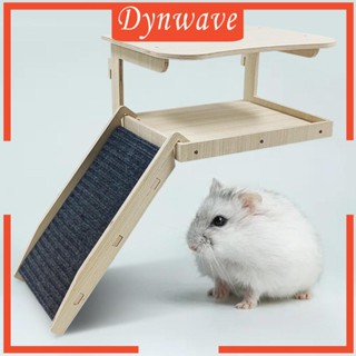 [Dynwave] บ้านหนูตะเภา พร้อมบันไดไม้ สําหรับหนู กระต่าย