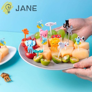 Jane ส้อมจิ้มผลไม้ ตาน่ารัก แว่นตา ส้อมขนม DIY เบนโตะ ตกแต่ง