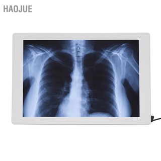 HaoJue EU Plug AC 100240V ไฟ LED XRay Viewer พร้อมความสว่างสูง 36x24 ซม.