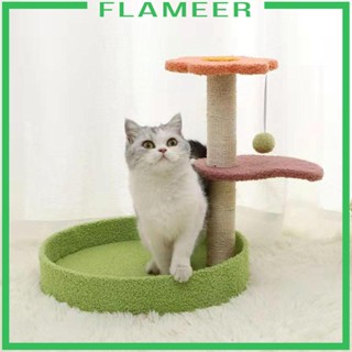 [Flameer] อุปกรณ์เฟอร์นิเจอร์ สําหรับแมว ขนาดเล็ก ขนาดกลาง