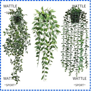 Wattle เถายูคาลิปตัส ใบไม้ประดิษฐ์ สําหรับตกแต่งบ้าน