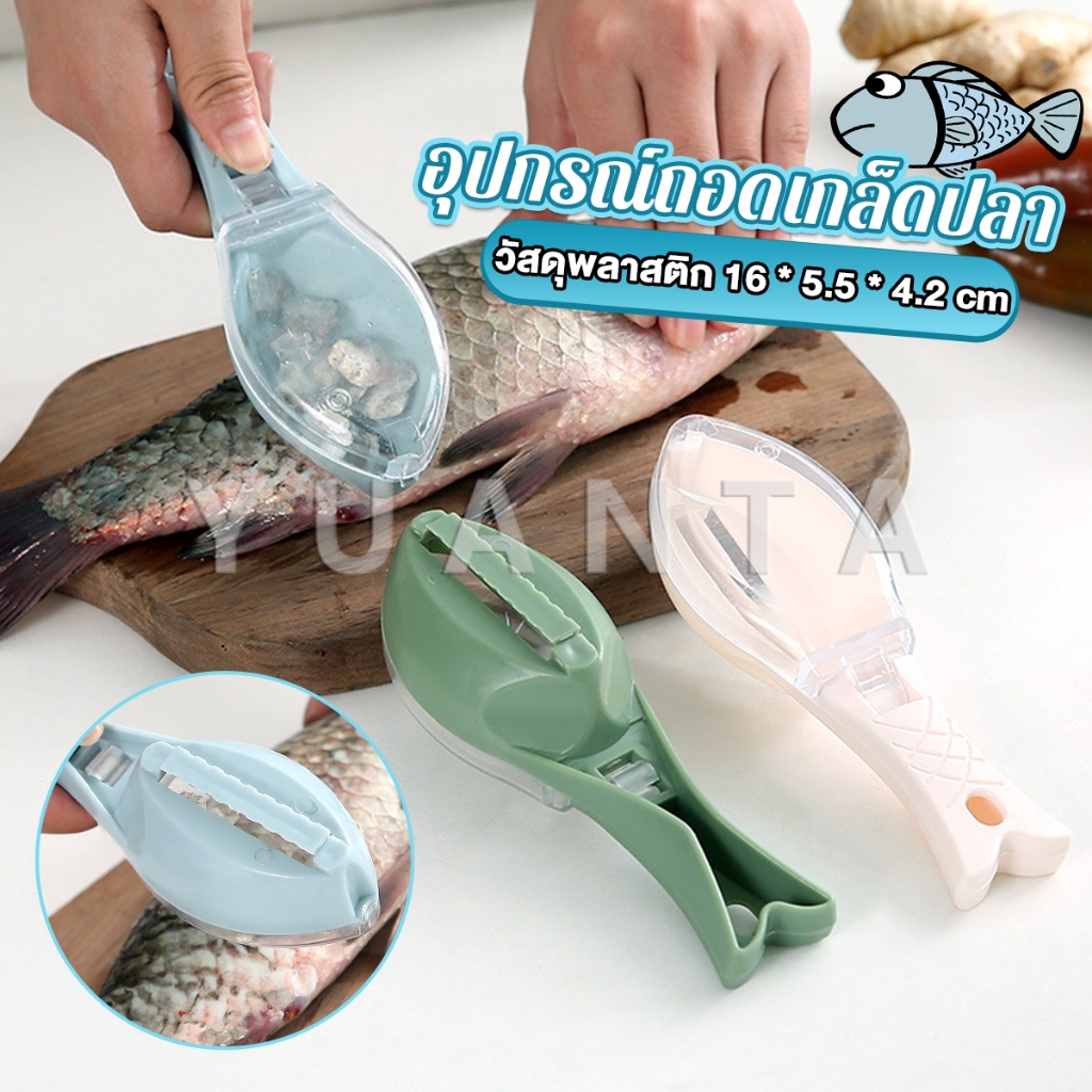 Yuanta ที่ขูดถอดเกล็ดปลา อุปกรณ์ครัว  มีกล่องเก็บเกล็ดปลาไม่ให้เลอะ ของใช้ภายในครัว Fish scale scraper