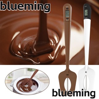 Blueming2 เครื่องวัดอุณหภูมิไม้พายดิจิทัล แบบมืออาชีพ สําหรับทําเค้กเบเกอรี่