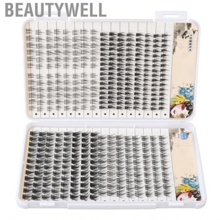 Beautywell Individual Lash Extensions  Different Length Fluffy 400 Cluster Eyelash Clusters Mixed Tray for Makeup