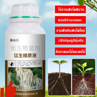 [พร้อมส่ง] อุปกรณ์กระตุ้นการเจริญเติบโตของราก สําหรับปลูกพืช