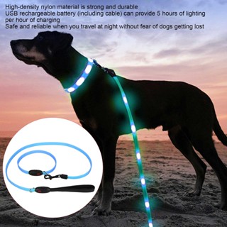 Pets Shop ปลอกคอ LED สุนัขกลางแจ้งพร้อมสายจูงชุดสายรัดคอสัตว์เลี้ยงแบบชาร์จ USB ได้