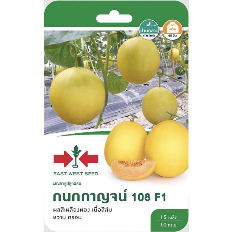 แคนตาลูป กนกกาญจน์108 SD/F1-027 ผักซองศรแดง East-West Seed Melon seeds ผัก เมล็ดพันธุ์ผักสวนครัว